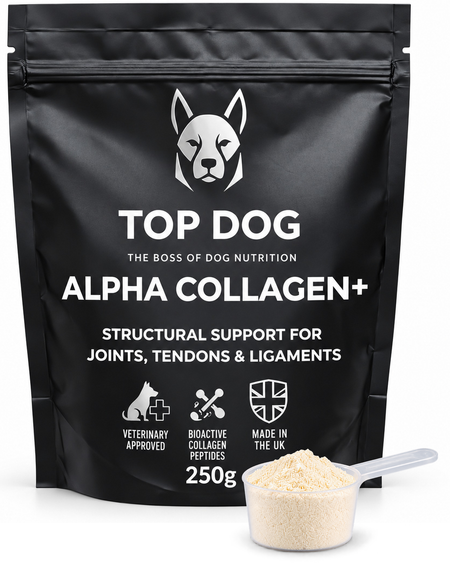 TOP DOG ALPHA COLLAGEN+