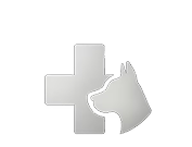 Untitled-1-01 1 (1).png__PID:250ce84c-b5e0-4208-9a8d-b8816e012fee