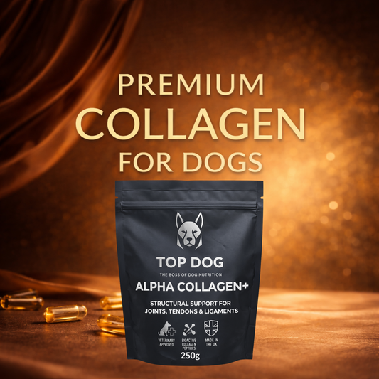 ALPHA COLLAGEN+