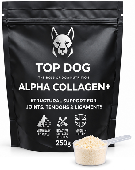 TOP DOG ALPHA COLLAGEN+