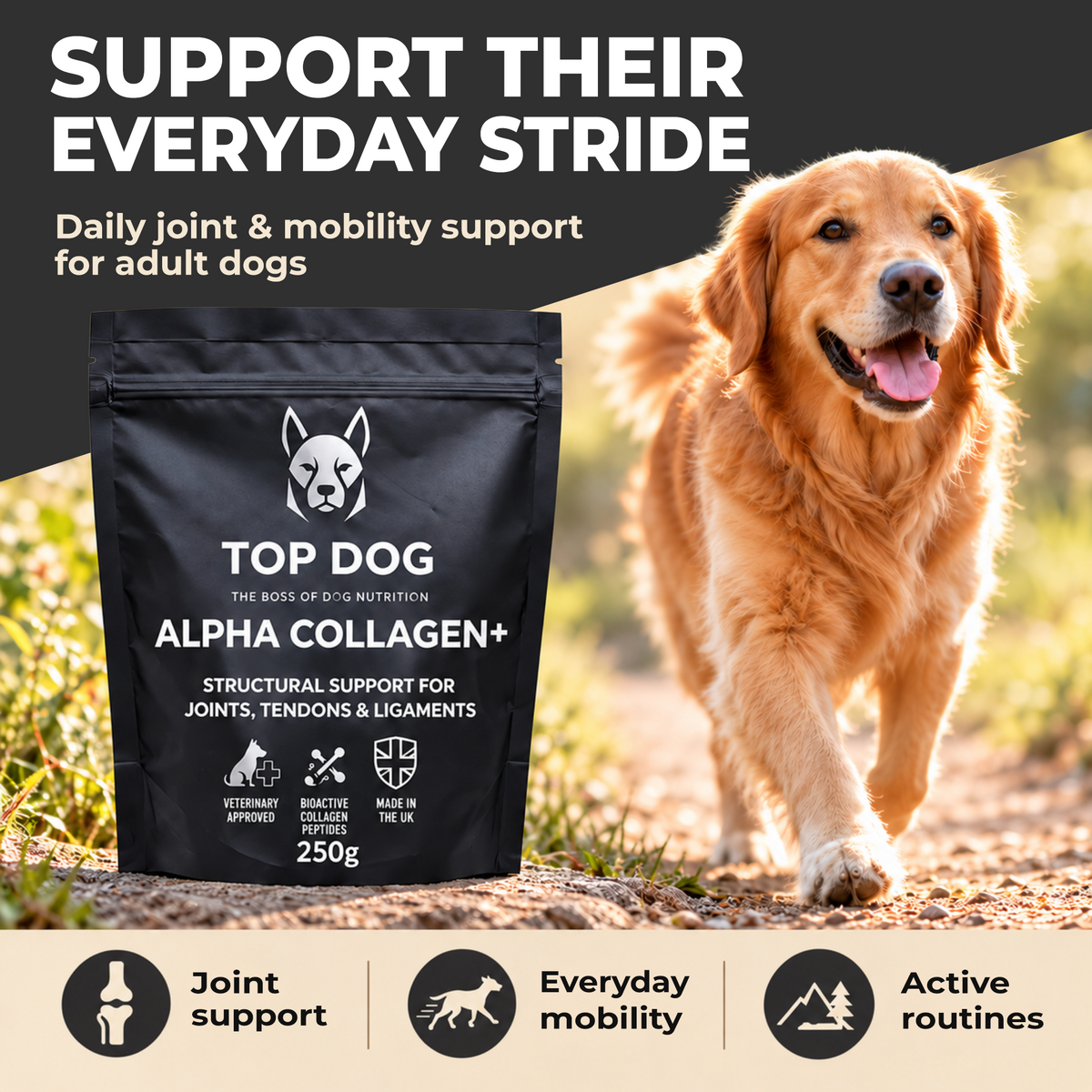 TOP DOG ALPHA COLLAGEN+