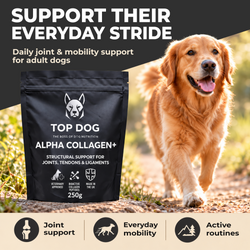 TOP DOG ALPHA COLLAGEN+