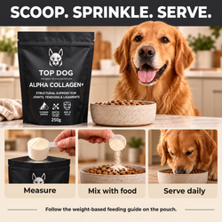 TOP DOG ALPHA COLLAGEN+